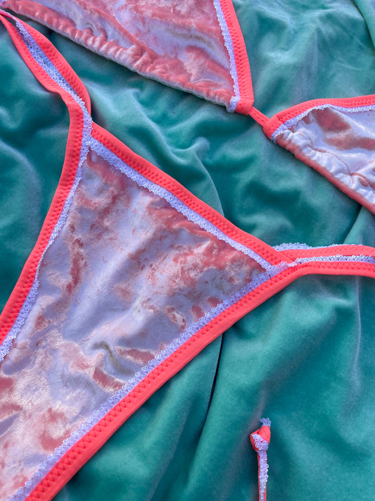Vixen Coral