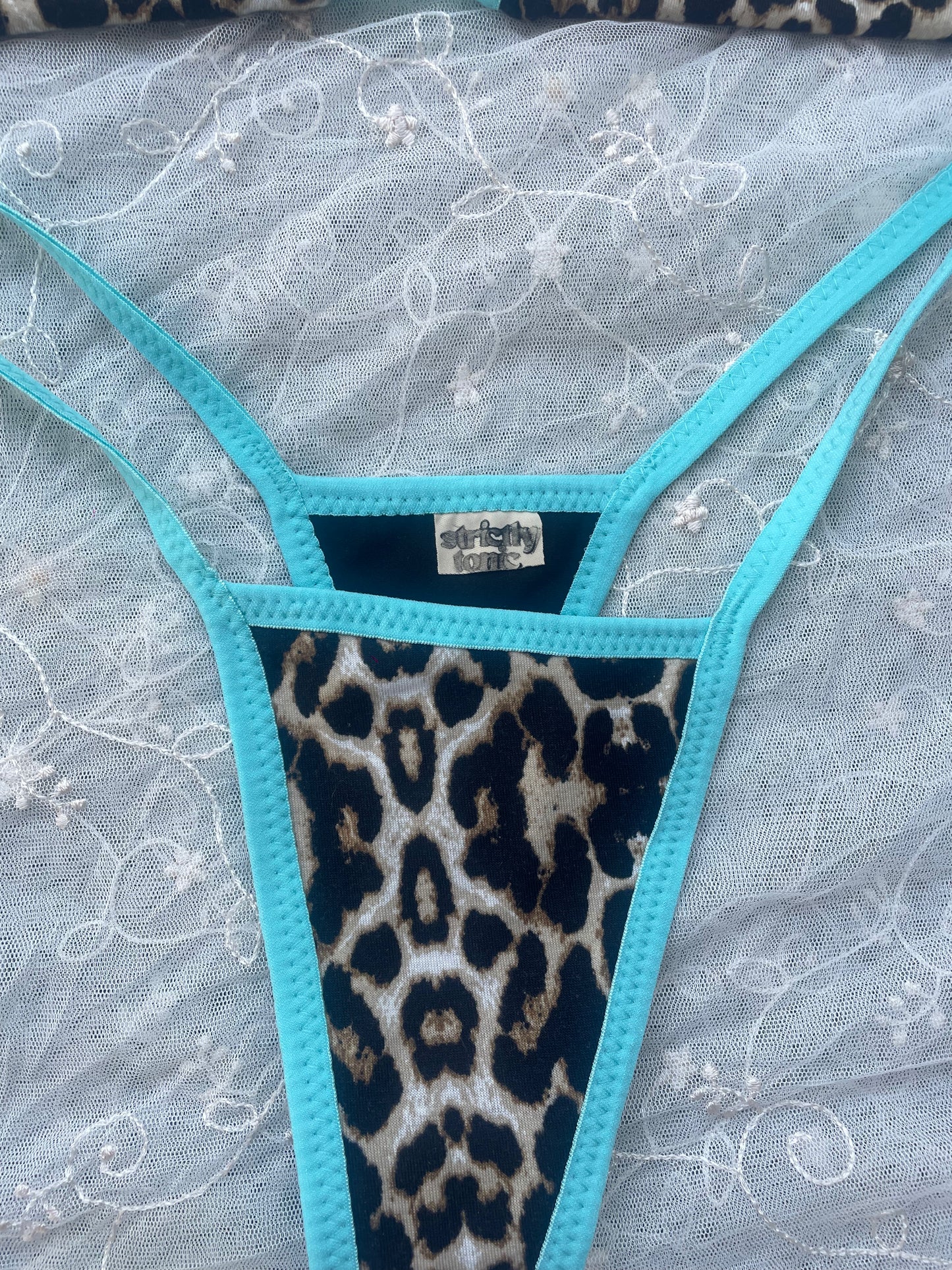 Lady Leopard